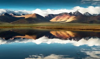 拉萨的海拔多少米（拉萨海拔多少米有高原反应）