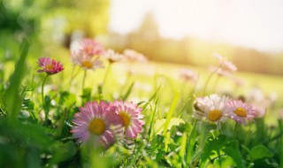 云南气候特点（云南气候特点和成因）