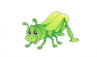 蝗虫的触角是什么形状 蝴蝶的触角