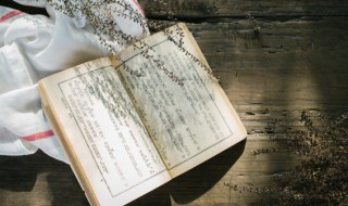 民族团结是什么（民族团结是什么的前提和保证）