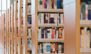 不入虎穴焉得虎子的意思解释是什么