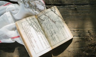 抱薪救火的意思解释是什么 抱薪救火 什么意思