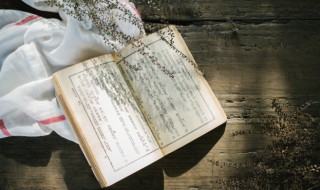 朦胧的胧怎么组词（朦胧的胧怎么组词怎么组词）