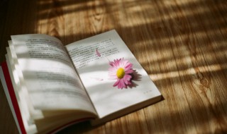 叫怎么组词（轿怎么组词）