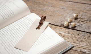 弊帚自珍的意思解释 敝帚自珍的弊是什么意思