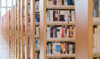 博文约礼的意思解释（博文约礼的意思解释和造句）