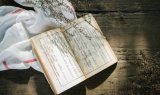 兵马未动粮草先行的意思解释 粮草未动兵马先行是什么意思