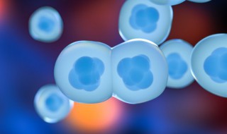 生物分为（生物分为哪几类）