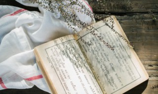 笨鸟先飞故事 笨鸟先飞的寓言故事