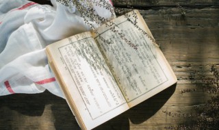 水浒传二十七回概括（水浒传一到十回概括）