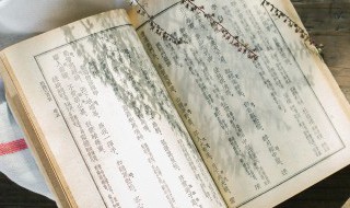 张秋阁内容概括 c罗和拉莫斯关系怎么样