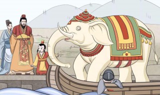 曹冲称象概括（曹冲称象的故事简写）