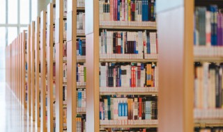 邢兰内容概括（邢兰内容概括100字）