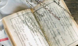 咬文嚼字概括（咬文嚼字概括这段话的主旨）