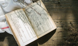 桃园与沅州概括（桃园与沅州的阅读感想）