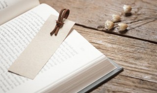 水浒转概括主要内容（水浒转概括主要内容,并摘抄精彩片段）