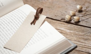 沉浸怎么读（沉浸式是什么意思）