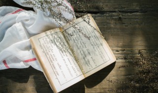 红楼梦第九十六回概括（红楼梦第25回概括）