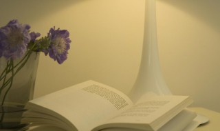 蹑怎么组词（蹑组词读音）