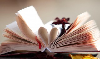 但字怎么组词 促字怎么组词