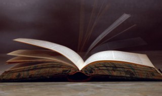 刺猬的刺怎么组词（刺猬的刺怎么组词刺猬的猬怎么组词）