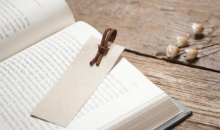 红楼梦第七十六回概括 红楼梦第七十六回概括200字