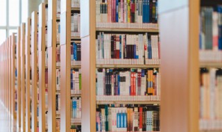 霸王别姬内容概括 霸王别姬内容概括100字