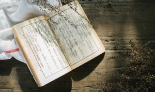 夸怎么读（匏怎么读）