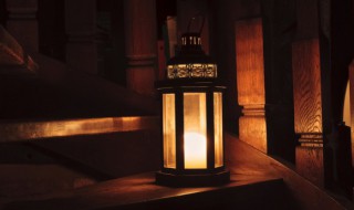 夙兴夜寐怎么读（夙兴夜寐怎么读音）