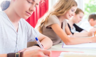 瓢虫英语怎么读（瓢虫英语怎么读ladybird）