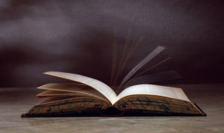 植树的牧羊人内容概括（植树的牧羊人内容概括300字）