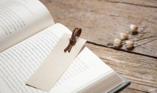 中世纪文学概括（中世纪文学的概念）