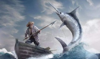 老人与海含义（《老人与海》寓意）