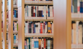 狼王梦第六章内容概括 狼王梦第六章内容概括300字