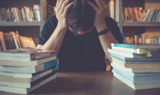 猪八戒高老庄娶亲概括 猪八戒高老庄娶亲概括80字