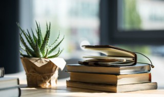 归纳和概括的区别（归纳和概括的区别申论）