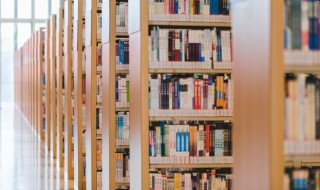 遮天内容概括（遮天主要故事情节）