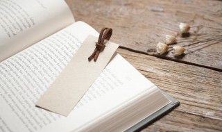 昆虫记菜豆象概括 昆虫记菜豆象概括20字左右