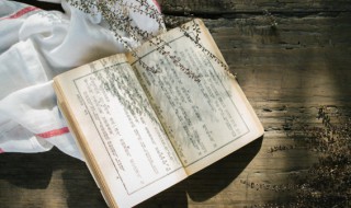 醉打蒋门神概括200字 醉打蒋门神概括200字以上