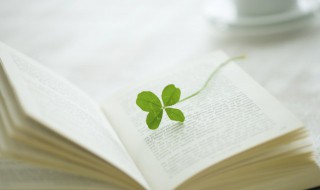 雪白近义词 雪白近义词,反义词