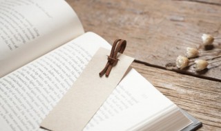 我不是懦夫概括（我不是懦夫原文）