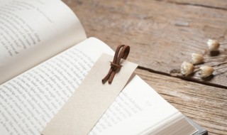 大孔雀蝶概括（大孔雀蝶概括100字）