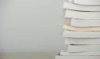 名人传各个章节概括（名人传章节内容概括）