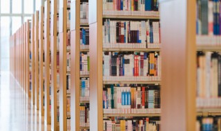 花和尚单打二龙山概括