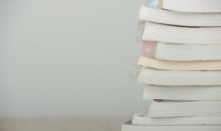 周进撞号板概括（周进撞号板概括30字）