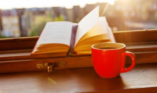 格列佛游记巨人国概括（格列佛游记巨人国概括200字）