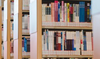 林海雪原概括 林海雪原概括500字