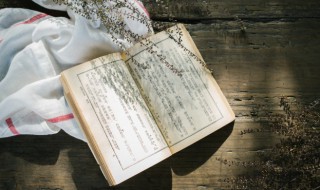 义释曹操概括 义释曹操概括30字