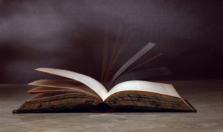 傲慢与偏见第二章概括 傲慢与偏见第二章概括总结