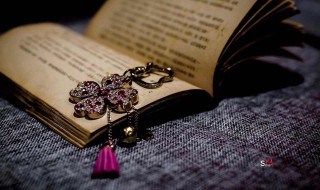 简爱第33章概括（简爱第33章概括50字）